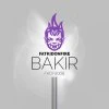 Bakir — Bashoratchi Ayol
