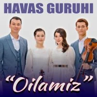 Havas guruhi