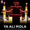 Muhammad Yusuf — Na chora