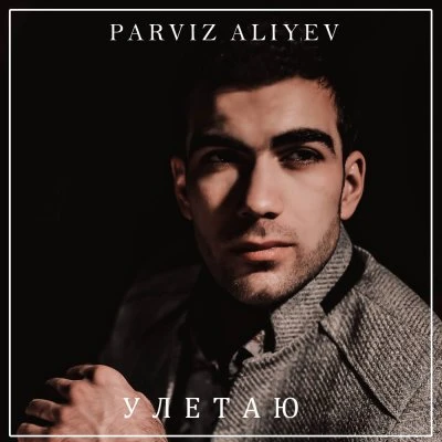 Parviz Aliyev — Sansiz