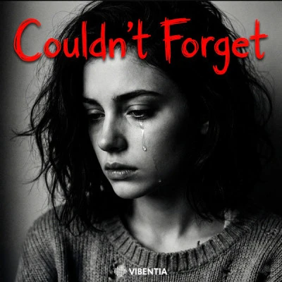 Vibentia — Couldn't Forget