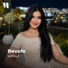Safinur — Bevafo