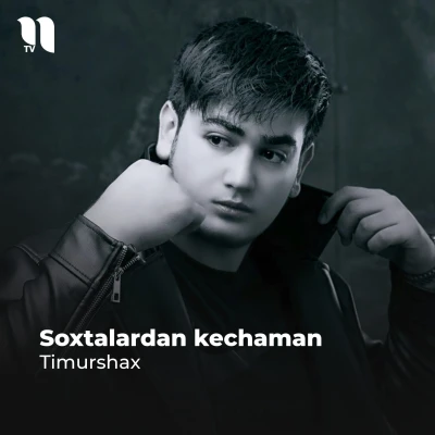 Timurshax — Soxtalardan kechaman